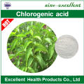 98% Eucommia Ulmoides P.E Chlorogenic Acid